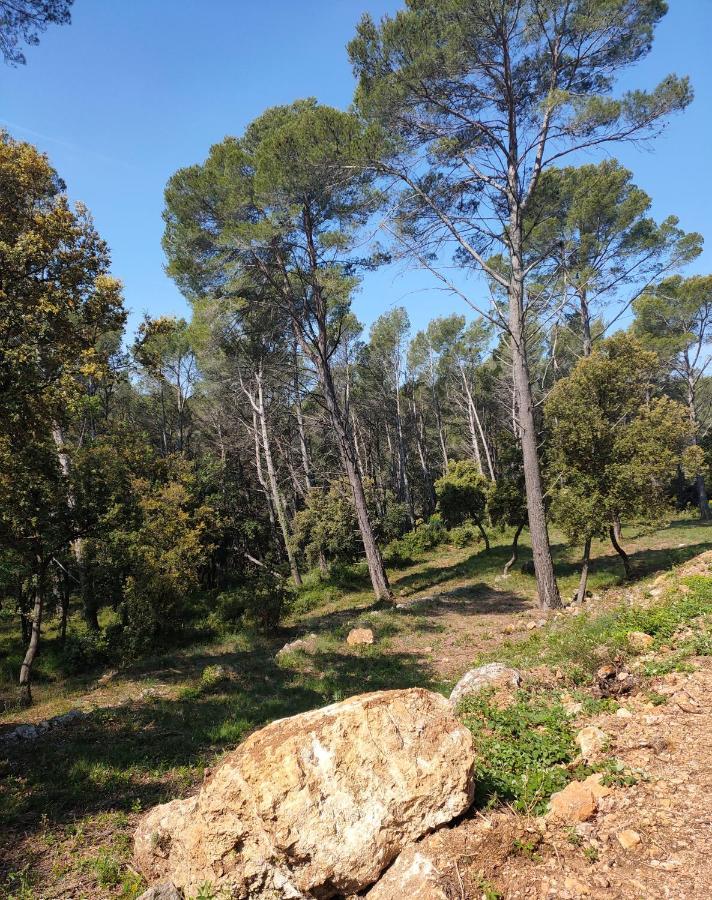 La Motte Les Hauts Du Peireguier المظهر الخارجي الصورة